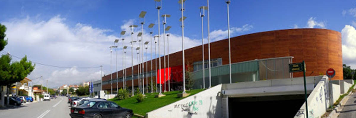 Ηλεκτρολόγος Γέρακα